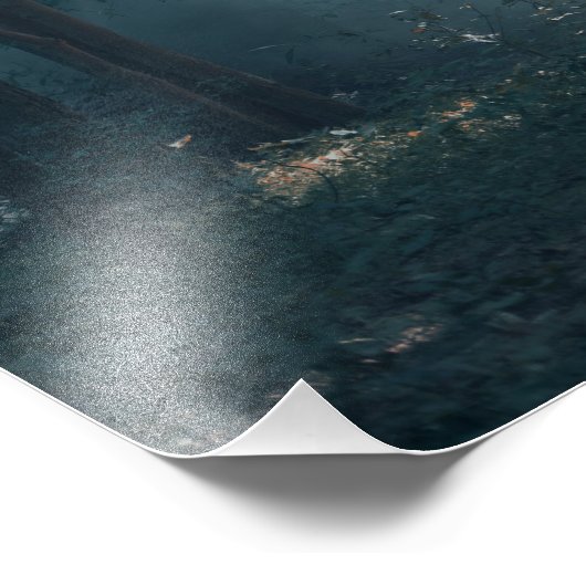 Elephant Foto Print (Ecke)