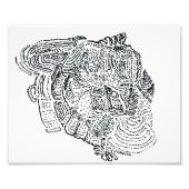 Elephant Fotodruck (Vorne)