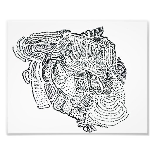 Elephant Fotodruck (Vorne)