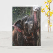 ELEPHANT FOTOGRAPH FUNNY SPLASH GEBURTSTAG KARTE (Gelbe Blume)