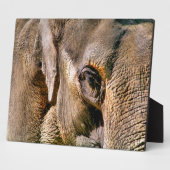 ELEPHANT FOTOPLATTE (Seite)