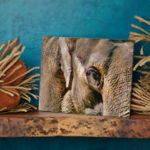 ELEPHANT FOTOPLATTE (Seite)