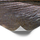 ELEPHANT FUN POSTER (Ecke)