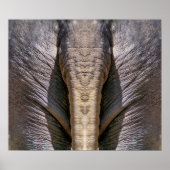 ELEPHANT FUN POSTER (Vorne)