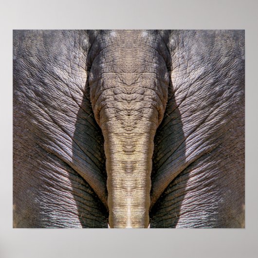 ELEPHANT FUN POSTER (Vorne)