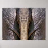 ELEPHANT FUN POSTER (Vorne)