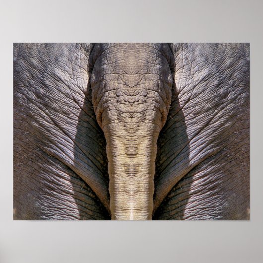 ELEPHANT FUN POSTER (Vorne)