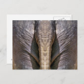 ELEPHANT FUN POSTKARTE (Vorne/Hinten)