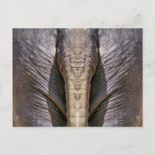 ELEPHANT FUN POSTKARTE