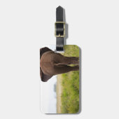 Elephant Gepäckanhänger (Vorderseite vertikal)