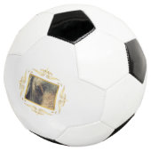 Elephant Gerahmt Fußball (Dreiviertel)