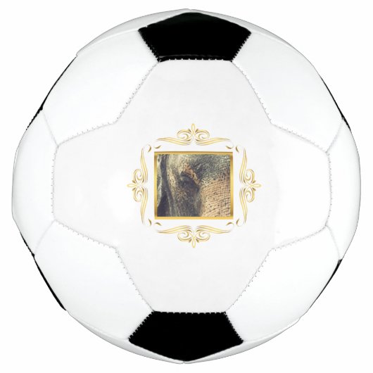 Elephant Gerahmt Fußball (Vorderseite)