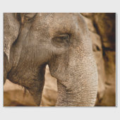 ELEPHANT GESCHENKPAPIER (Flach)