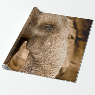 ELEPHANT GESCHENKPAPIER