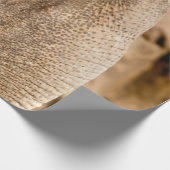 ELEPHANT GESCHENKPAPIER (Ecke)