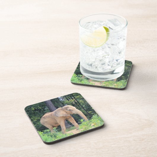 Elephant Getränkeuntersetzer (Rechte Seite)