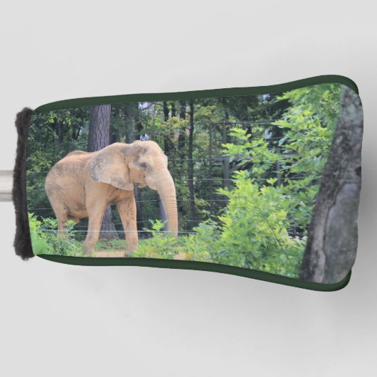 Elephant Golf Headcover (Vorderseite)