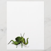 Elephant Grasshopper Crossbreed (Vorderseite)