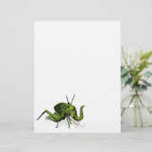 Elephant Grasshopper Crossbreed (Stehend Vorderseite)