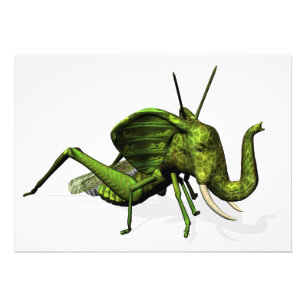 Elephant Grasshopper Crossbreed Fotodruck