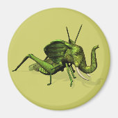 Elephant Grasshopper Crossbreed Magnet (Vorne)