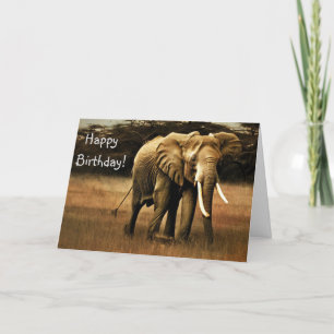 Elephant Happy Birthday! Dankeskarte