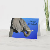 Elephant Happy Birthday Funny Age Blue und Grau Karte (Vorderseite)