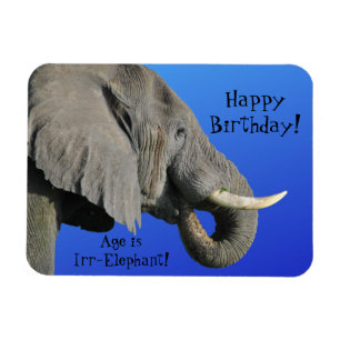 Elephant Happy Birthday Funny Age ist Irr Elephant Magnet