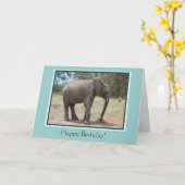 Elephant Happy Birthday Karte (Gelbe Blume)