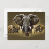 Elephant Herd Charging Postkarte (Vorne/Hinten)