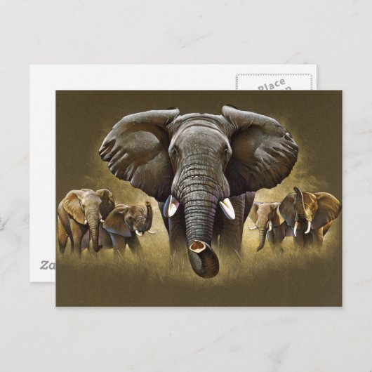 Elephant Herd Charging Postkarte (Vorne/Hinten)
