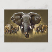 Elephant Herd Charging Postkarte (Vorderseite)