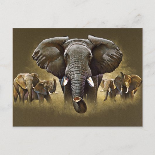 Elephant Herd Charging Postkarte (Vorderseite)