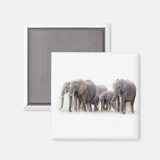 Elephant Herd Magnet (Vorderseite/Rückseite)