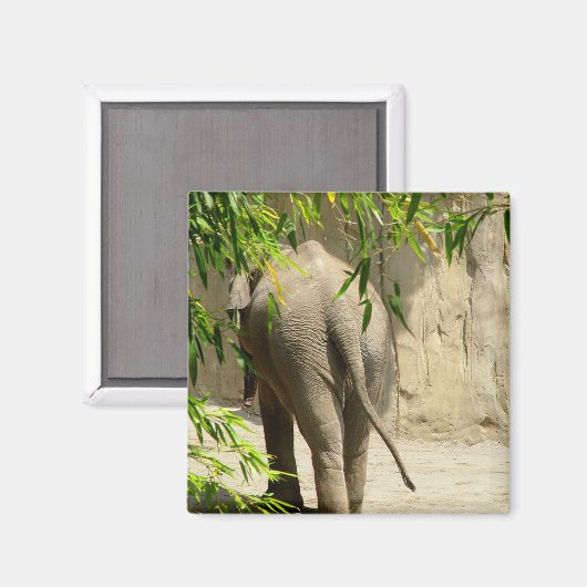 Elephant Hintern Magnet (Vorderseite/Rückseite)