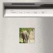 Elephant Hintern Magnet (In Situ (Geschirrspüler))