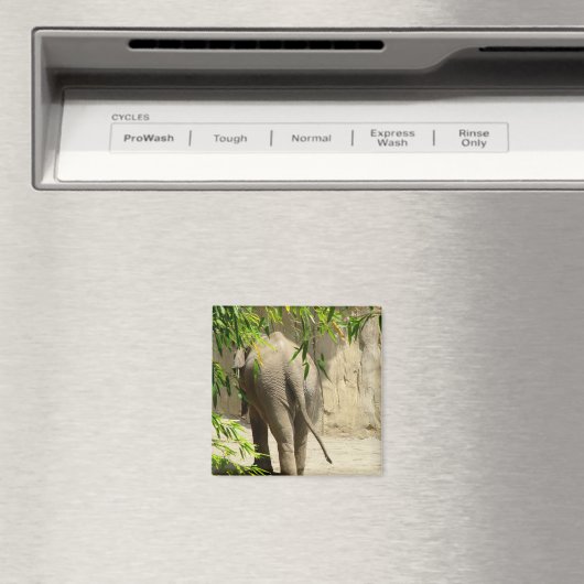 Elephant Hintern Magnet (In Situ (Geschirrspüler))