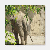 Elephant Hintern Magnet (Vorne)