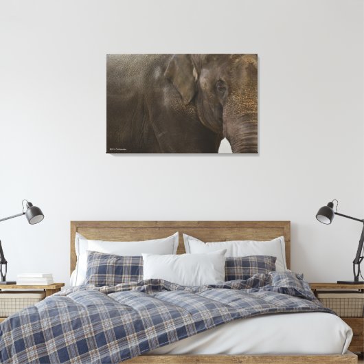 Elephant hoch Nah Leinwanddruck (Insitu (Schlafzimmer))