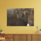 Elephant hoch Nah Leinwanddruck (Insitu (Wohnzimmer))