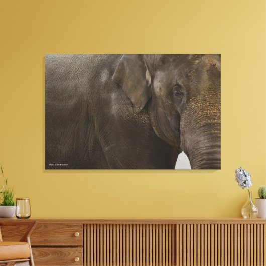 Elephant hoch Nah Leinwanddruck (Insitu (Wohnzimmer))