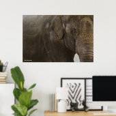 Elephant hoch Nah Poster (Heimbüro)