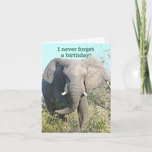 ELEPHANT/I VERGESSEN NIE EIN BIRTHDAY/EXCEPT IHR KARTE (Vorderseite)