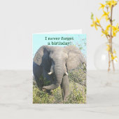 ELEPHANT/I VERGESSEN NIE EIN BIRTHDAY/EXCEPT IHR KARTE (Gelbe Blume)
