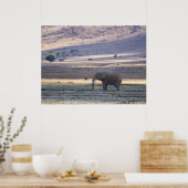 Elephant im Ngorongoro-Krater — Safari Po Poster (Küche)