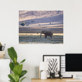 Elephant im Ngorongoro-Krater — Safari Po Poster (Heimbüro)