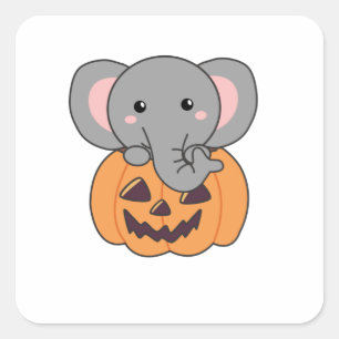 Elephant In Pumpkin Cute Elephant Happy Halloween Quadratischer Aufkleber