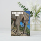 Elephant Jungle Sanctuary Postkarte (Stehend Vorderseite)