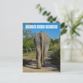 Elephant Jungle Sanctuary Postkarte (Stehend Vorderseite)