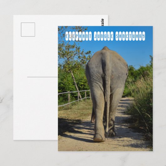 Elephant Jungle Sanctuary Postkarte (Vorne/Hinten)